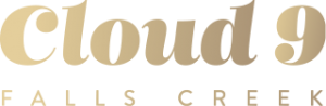 Cloud9fc Logo